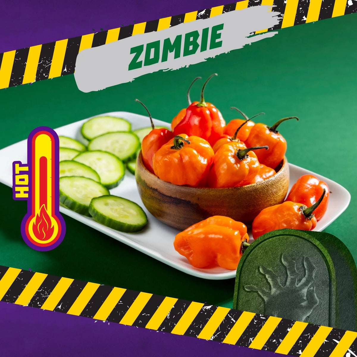 Takis Zombie 28g [Best By / MHD 13.12.2023]– Sweet Ranch